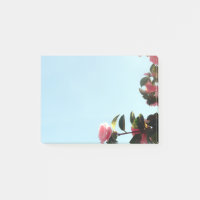 Fleurs De Camellia Rose Avec Ciel Bleu