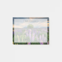 Flowers (homonymie) | Lupine Field à New Zealand