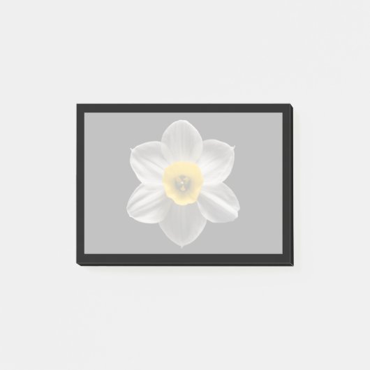 Post-it® Flowers | White Daffodil Flower (Devant)