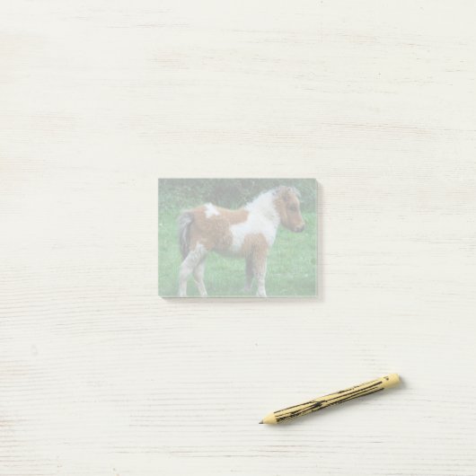 Post-it® Fluffy Adorable Dartmoor Pony (Sur un bureau)