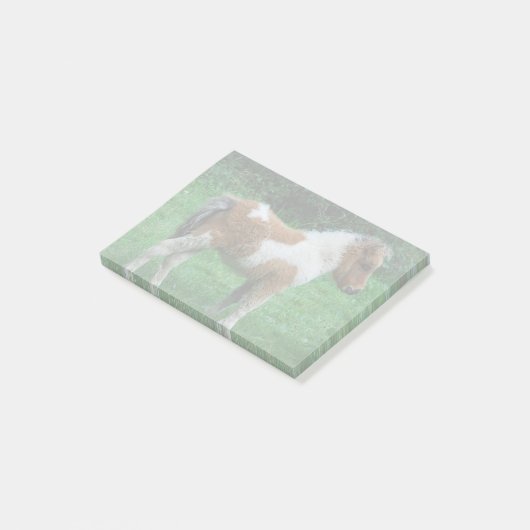 Post-it® Fluffy Adorable Dartmoor Pony (Incliné)
