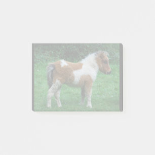 Post-it® Fluffy Adorable Dartmoor Pony
