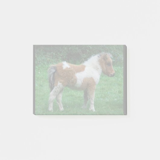 Post-it® Fluffy Adorable Dartmoor Pony (Devant)