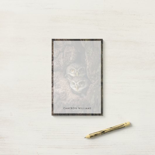 Post-it® Forest | Deux Owls Looking (Sur un bureau)