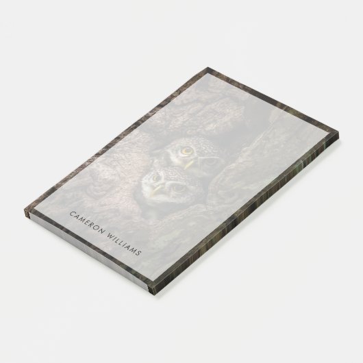 Post-it® Forest | Deux Owls Looking (Incliné)