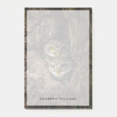 Post-it® Forest | Deux Owls Looking (Devant)