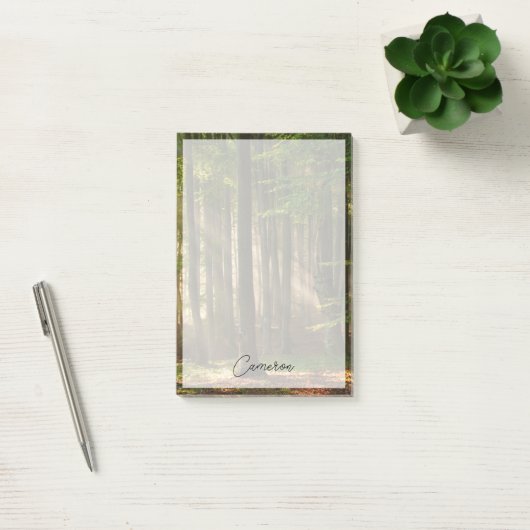 Post-it® Forests | Autumn Forest (Bureau)