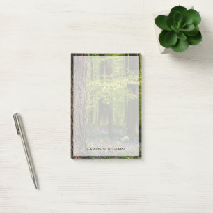 Post-it® Forests Bluebells in Belgium