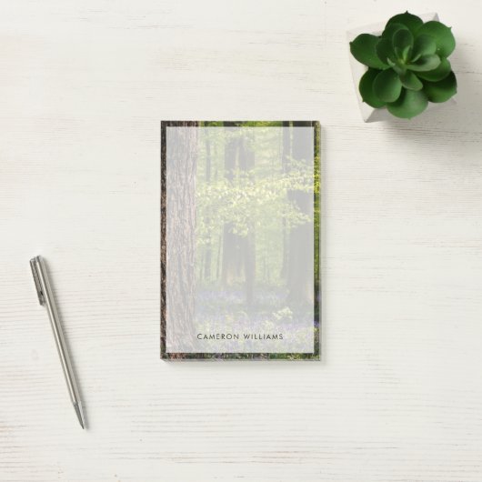 Post-it® Forests | Bluebells in Belgium (Bureau)