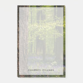 Post-it® Forests | Bluebells in Belgium (Devant)