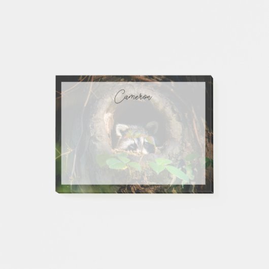 Post-it® Forests | Raccoon Peeking (Devant)