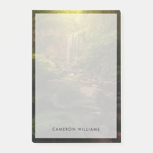 Post-it® Forests | Sunlight Highlights Waterfall (Devant)