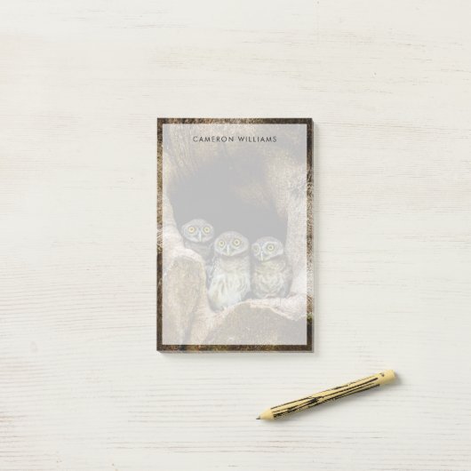 Post-it® Forests | Three Owls Looking (Sur un bureau)