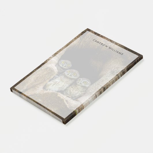 Post-it® Forests | Three Owls Looking (Incliné)