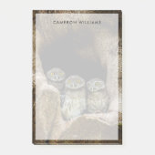 Post-it® Forests | Three Owls Looking (Devant)