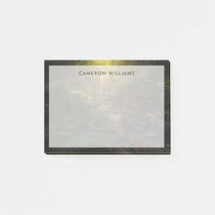 Post-it® Forêt   Cascade Sunlight Highlights