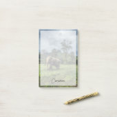 Post-it® Forêt | Parc national de Kao Sok (Sur un bureau)