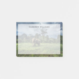 Post-it® Forêt Parc national de Kao Sok