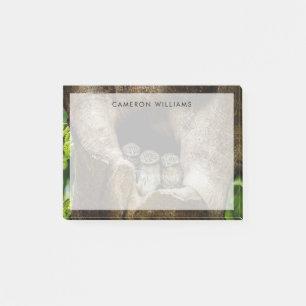 Post-it® Forêt Trois Chouettes