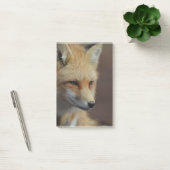 Post-it® Fox rouge mignon (Bureau)