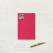 Post-it® Fraterniser avec du poisson frais (Sur un bureau)