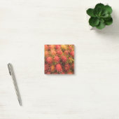 Post-it® Fruits tropicaux Rambutan (Bureau)