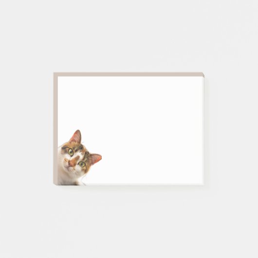Post-it® Fun Cat Kitten Looking at You Cute Animal Fun (Devant)