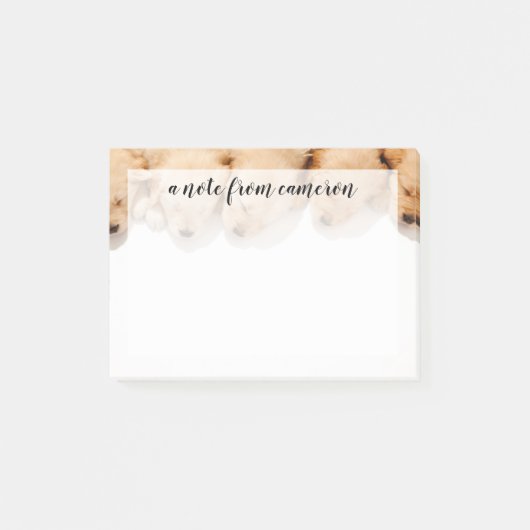 Post-it® Gamme de marionnettes dormantes d'or (Devant)