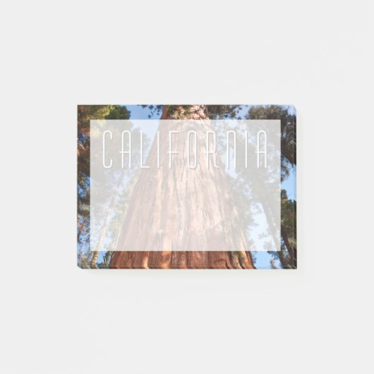 Post-it® Géant Séquoia S'élève (Devant)