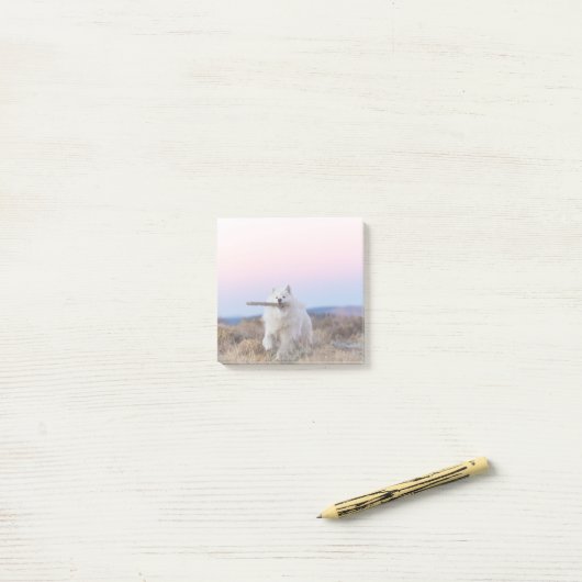 Post-it® Gestionnaire de succursales - Notes de post-it 3 p (Sur un bureau)