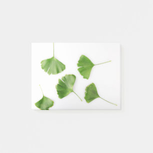 Post-it® Ginkgo Biloba Leaf contre le Arrière - plan blanc