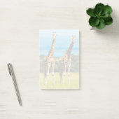 Post-it® Girafes dans la savane, Ouganda (Bureau)