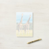 Post-it® Girafes dans la savane, Ouganda (Sur un bureau)