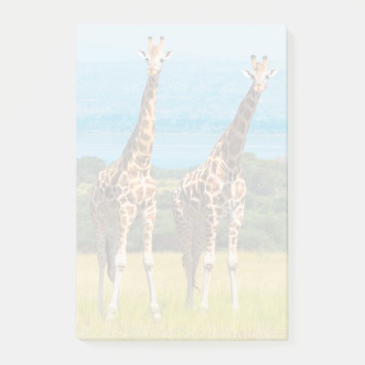 Post-it® Girafes dans la savane, Ouganda (Devant)