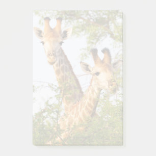 Post-it® Girafes dépassant la végétation