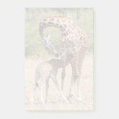 Post-it® Giraffe Mère et bébé au Kenya (Devant)