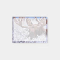 Glace et neige | Grand Teton National Park, Wyomin