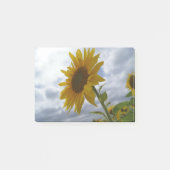 Post-it® Gloire de tournesol (Devant)