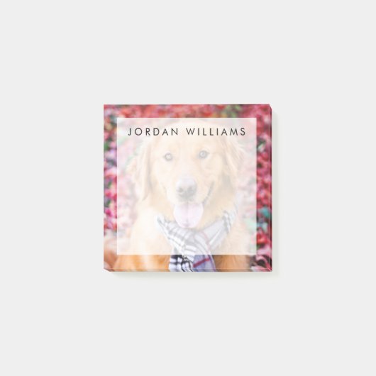 Post-it® Golden Retriever in Scarf (Devant)