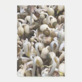 Post-it® Graisses Bio - Un Superaliment Emballé De Nutrimen (Devant)