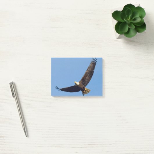 Post-it® Grand Aigle (Bureau)