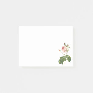 Post-it® grand chou-leaved s'est levé par Redouté