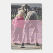 Post-it® Grand Danois (Devant)