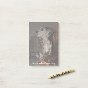 Post-it® Grand Danois merle