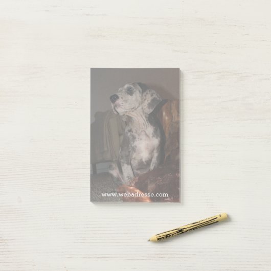Post-it® Grand Danois merle (Sur un bureau)
