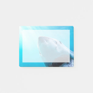 Post-it® Grand requin blanc Afrique du Sud