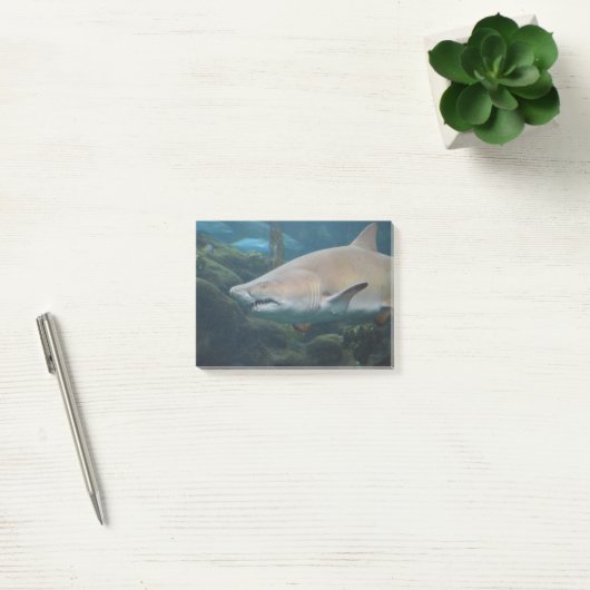 Post-it® Grand requin blanc effrayant (Bureau)