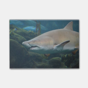 Post-it® Grand requin blanc effrayant