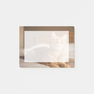 Post-it® Grandes images  Chat endormi