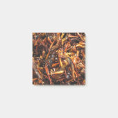 Post-it® Grasshopper frit (Takkataen Thot) Alimentation asi (Devant)